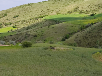 Amasya Merkez Kaleboğazı Köyü Milli Emlak'tan Satılık 2.115,99 m2 Tarla