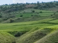 Amasya Merkez Kaleboğazı Köyü Milli Emlak'tan Satılık 1.192,41 m2 Tarla