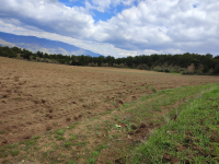 Amasya Merkez Ezinepazarı Köyü Milli Emlak'tan Satılık 2.813,24 m2 Tarla