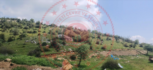 Balıkesir Kepsut Armutlu Köyü Milli Emlak'tan Satılık 317,82 m2 Tarla