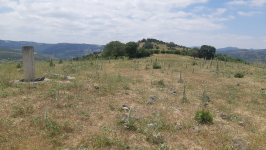 Balıkesir Kepsut İsaalan Köyü Milli Emlak'tan Satılık 5.069,91 m2 Tarla