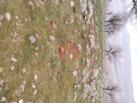 Şırnak Güçlükonak Gümüşyazı Köyü Milli Emlak'tan Satılık 681,25 m2 Tarla