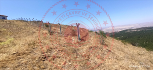 Kırıkkale Balışeyh Uzunlar Köyü Milli Emlak'tan Satılık 340,82 m2 Tarla