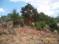 Konya Seydişehir Oğlakçı Köyü Milli Emlak'tan Satılık 264,07 m2 Tarla