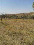 Nevşehir Gülşehir Gümüşkent - Cumhuriyet Mahallesi Milli Emlak'tan Satılık 4.608,08 m2 Tarla