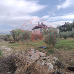 Muğla Fethiye Esenköy Köyü Milli Emlak'tan Satılık 493,02 m2 Tarla