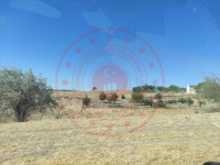 Kırıkkale Karakeçili Karakeçili - Merkez Mahallesi Milli Emlak'tan Satılık 583,00 m2 Arsa