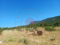 Muğla Menteşe Yaraş Köyü Milli Emlak'tan Satılık 6.194,11 m2 Tarla