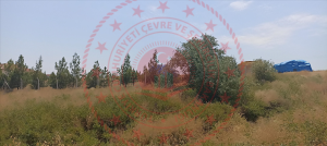 Kırıkkale Delice Halitli Köyü Milli Emlak'tan Satılık 1.118,52 m2 Tarla