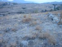 Ankara Evren Solakuşağı Köyü Milli Emlak'tan Satılık 796,29 m2 Tarla