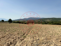 Afyonkarahisar Dazkırı Yayla Köyü Milli Emlak'tan Satılık 3.750,00 m2 Tarla