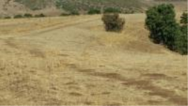 Bingöl Merkez Gözeler Köyü Milli Emlak'tan Satılık 9.158,25 m2 Tarla