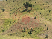 Sivas İmranlı Karataş Köyü Milli Emlak'tan Satılık 14.007,38 m2 Tarla