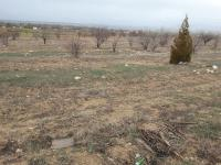 Konya Beyşehir Esence Kasabası Milli Emlak'tan Satılık 1.800,17 m2 Arsa