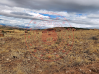 Konya Hüyük Selki Kasabası Milli Emlak'tan Satılık 5.745,12 m2 Tarla