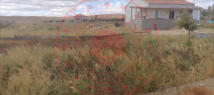 Kırıkkale Delice Tavaözü Köyü Milli Emlak'tan Satılık 543,93 m2 Tarla