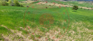 Kastamonu Merkez Hacışaban Köyü Milli Emlak'tan Satılık 5.652,61 m2 Tarla