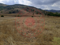 Sivas Merkez Asarcık Köyü Milli Emlak'tan Satılık 2.514,36 m2 Tarla