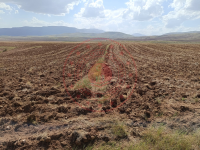 Erzincan İliç Altıntaş Köyü Milli Emlak'tan Satılık 18.064,49 m2 Tarla