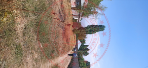 Ağrı Patnos Cumhuriyet Mahallesi Milli Emlak'tan Satılık 975,00 m2 Tarla