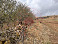 Afyonkarahisar Dinar Karabedir Köyü Milli Emlak'tan Satılık 729,35 m2 Tarla