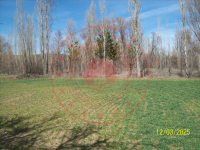 Konya Seydişehir Gökçehüyük Köyü Milli Emlak'tan Satılık 415,70 m2 Tarla