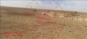 Konya Sarayönü Çeşmelisebil Kasabası Milli Emlak'tan Satılık 1.098,00 m2 Tarla