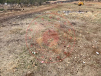 Afyonkarahisar Dinar Karabedir Köyü Milli Emlak'tan Satılık 735,96 m2 Tarla