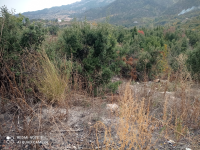 Mersin Toroslar Kavaklıpınar Köyü Milli Emlak'tan Satılık 172,85 m2 Tarla