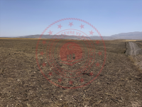 Ağrı Merkez Çakıroba Köyü Milli Emlak'tan Satılık 16.051,91 m2 Tarla