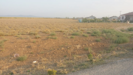 Konya Altınekin Yenikuyu Köyü Milli Emlak'tan Satılık 5.391,23 m2 Tarla