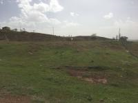 Kırşehir Akçakent Ömeruşağı Köyü Milli Emlak'tan Satılık 1.007,36 m2 Tarla