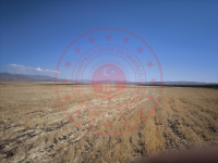 Ağrı Hamur Adımova Köyü Milli Emlak'tan Satılık 11.302,37 m2 Tarla