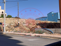 Mardin Artuklu Yalım Köyü Milli Emlak'tan Satılık 2.075,97 m2 Tarla