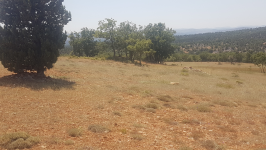 Konya Bozkır Taşbaşı Köyü Milli Emlak'tan Satılık 1.531,32 m2 Arsa