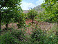 Erzincan İliç Altıntaş Köyü Milli Emlak'tan Satılık 516,01 m2 Tarla