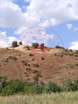 Erzincan İliç Yaylapınar Köyü Milli Emlak'tan Satılık 16.768,66 m2 Tarla