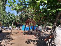 Kırşehir Akçakent Polatlı Köyü Milli Emlak'tan Satılık 49,42 m2 Tarla