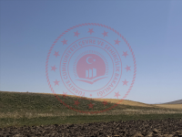 Ağrı Merkez Çakıroba Köyü Milli Emlak'tan Satılık 20.219,86 m2 Tarla