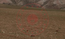 Kırıkkale Delice Şahçalı Köyü Milli Emlak'tan Satılık 18.006,73 m2 Tarla