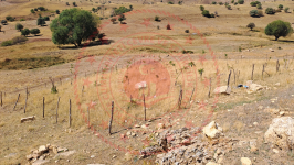 Erzincan Tercan Elmalı Köyü Milli Emlak'tan Satılık 2.132,93 m2 Tarla