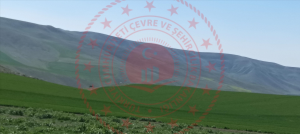 Çankırı Merkez Ağzıbüyük Köyü Milli Emlak'tan Satılık 3.065,65 m2 Tarla