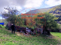 Amasya Merzifon Derealan Köyü Milli Emlak'tan Satılık 473,96 m2 Tarla