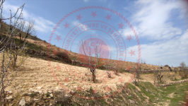 Mardin Artuklu Yalım - Cumhuriyet Mahallesi Milli Emlak'tan Satılık 307,14 m2 Tarla