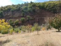 Bingöl Merkez Altınışık Köyü Milli Emlak'tan Satılık 3.138,84 m2 Tarla