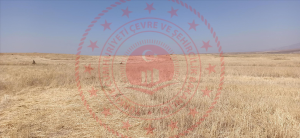 Ağrı Patnos Doğansu Köyü Milli Emlak'tan Satılık 23.400,00 m2 Tarla