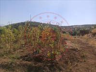 Bingöl Merkez Güveçli Köyü Milli Emlak'tan Satılık 5.819,40 m2 Tarla