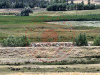 Van Tuşba Gülsünler Köyü Milli Emlak'tan Satılık 5.314,91 m2 Tarla