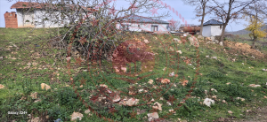 Bursa Mustafakemalpaşa Taşpınar Mahallesi Milli Emlak'tan Satılık 598,45 m2 Tarla