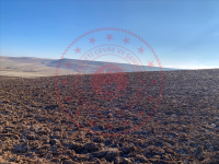 Kayseri Kocasinan Doruklu Mahallesi Milli Emlak'tan Satılık 1.201,03 m2 Tarla
